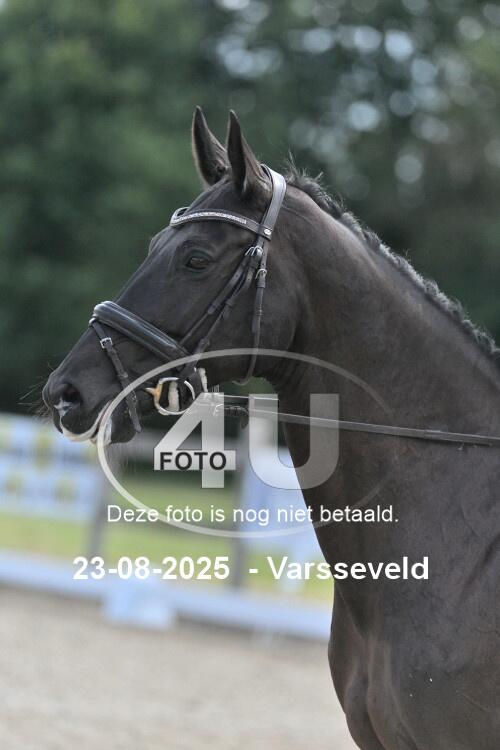 250823 1760