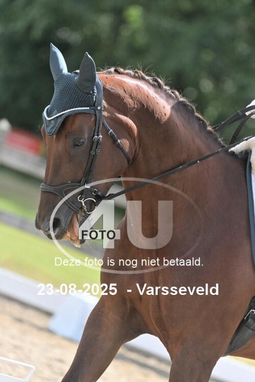 250823 1943