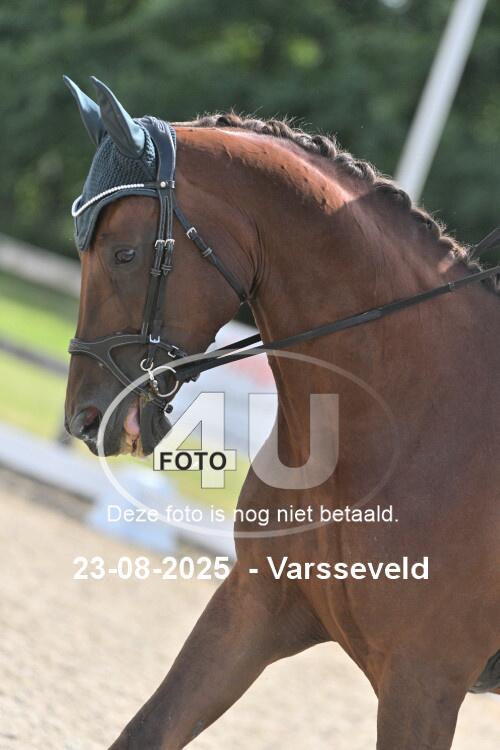250823 1944