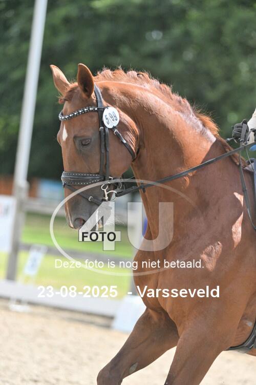 250823 2129