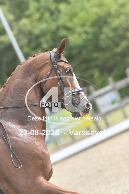 250823 2245