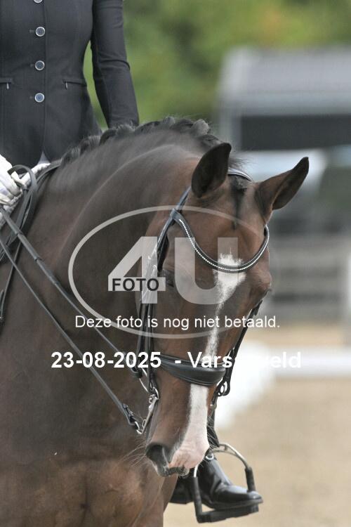 250823 2622