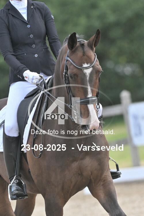 250823 2642