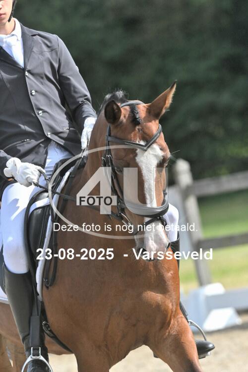 250823 2719