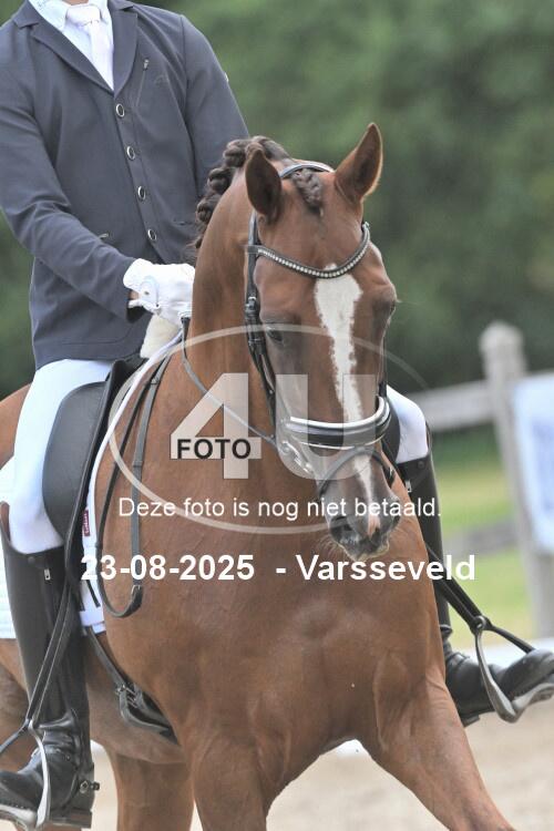 250823 2863