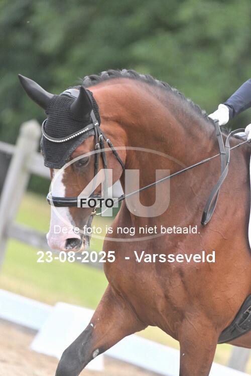 250823 2973