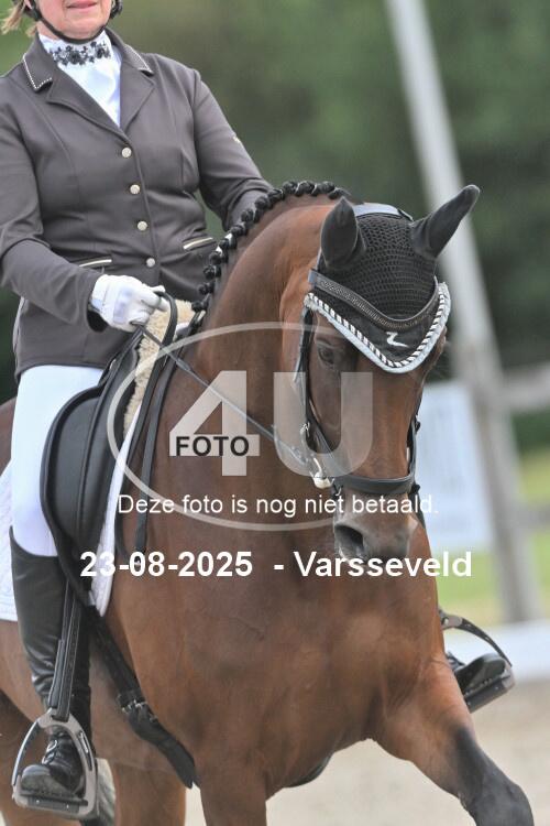 250823 3646