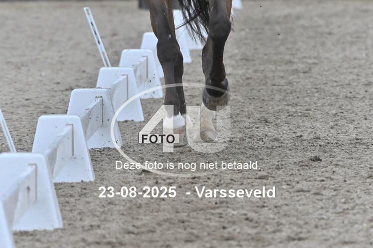 250823 3772