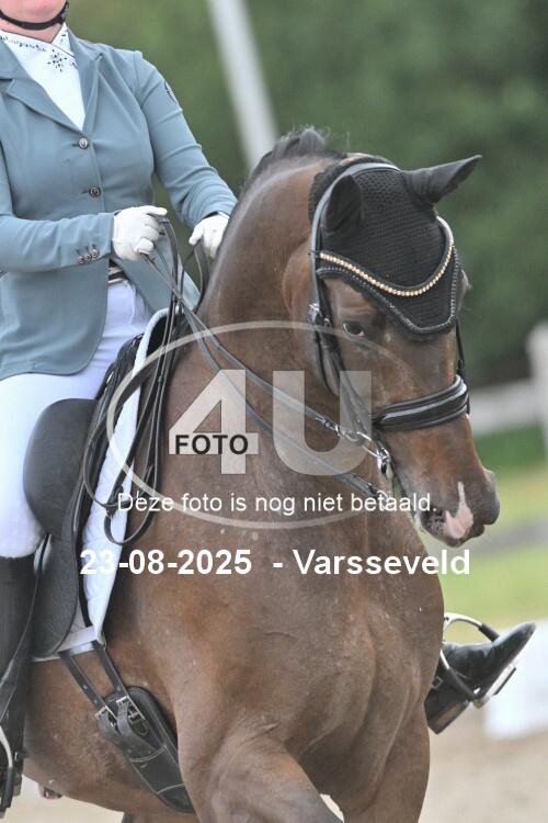 250823 3784