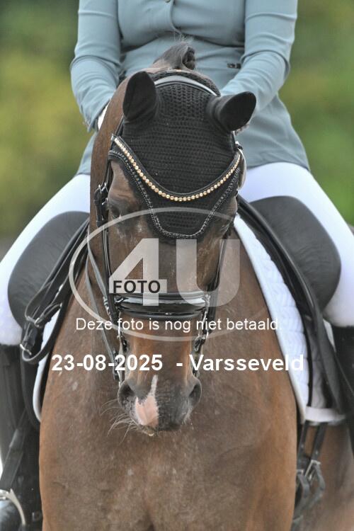 250823 3825