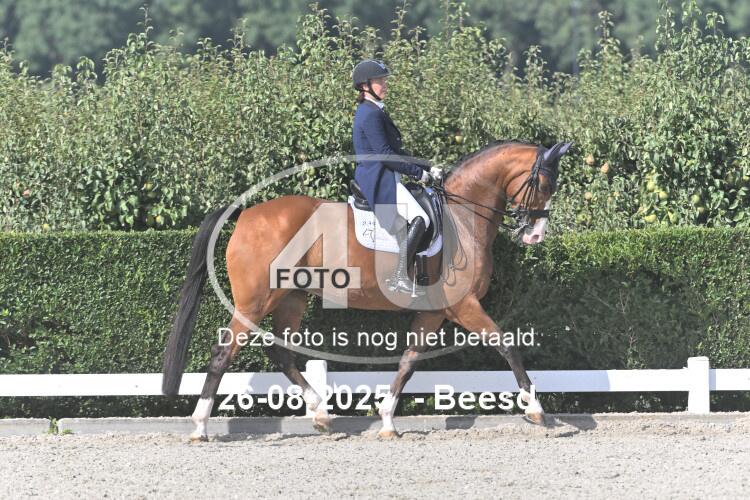 250826 0250