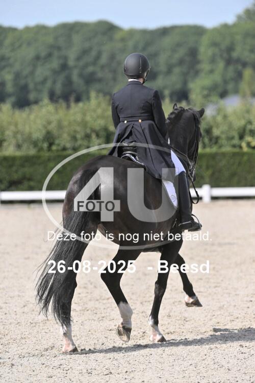 250826 0539