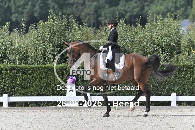 250826 0612