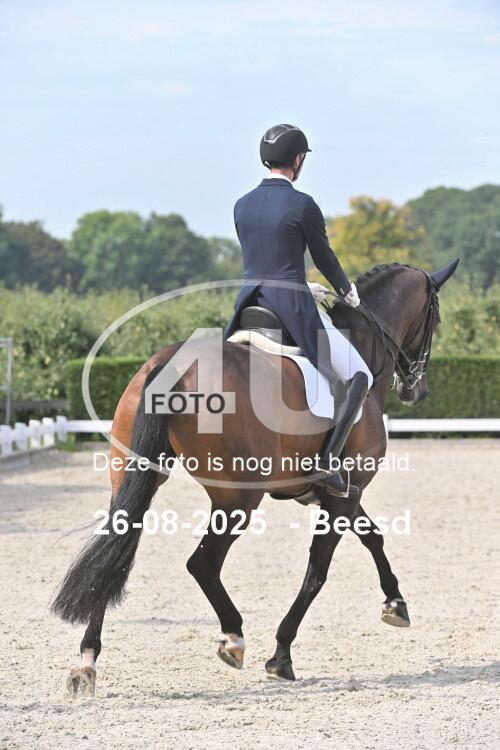 250826 0706