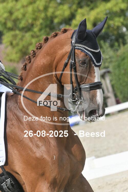250826 0807