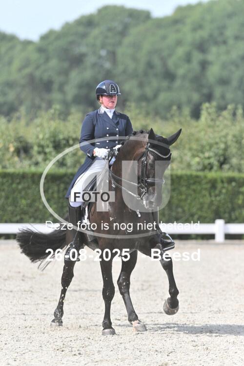 250826 0981