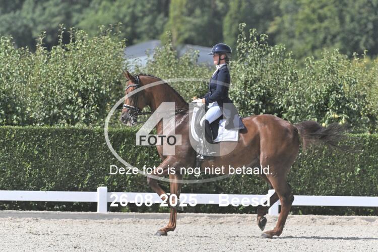 250826 1137