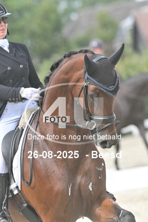 250826 1204