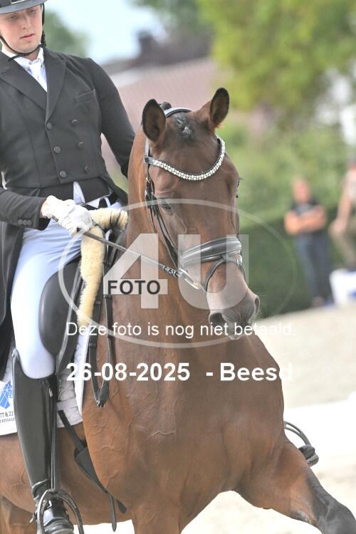 250826 1698