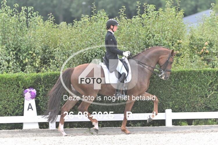 250826 2016