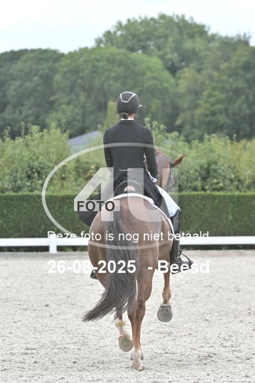 250826 2022
