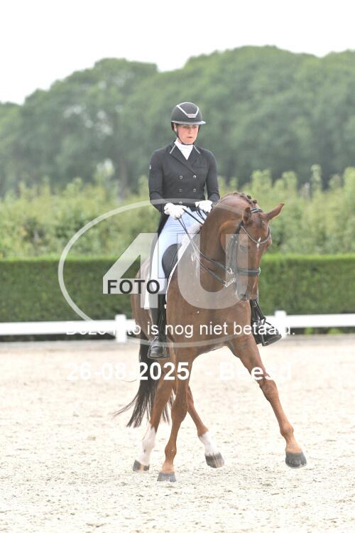 250826 2028