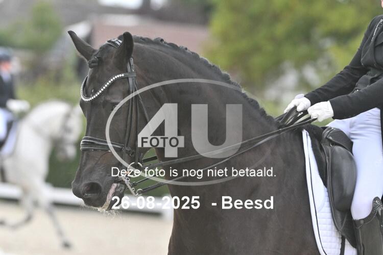 250826 2131
