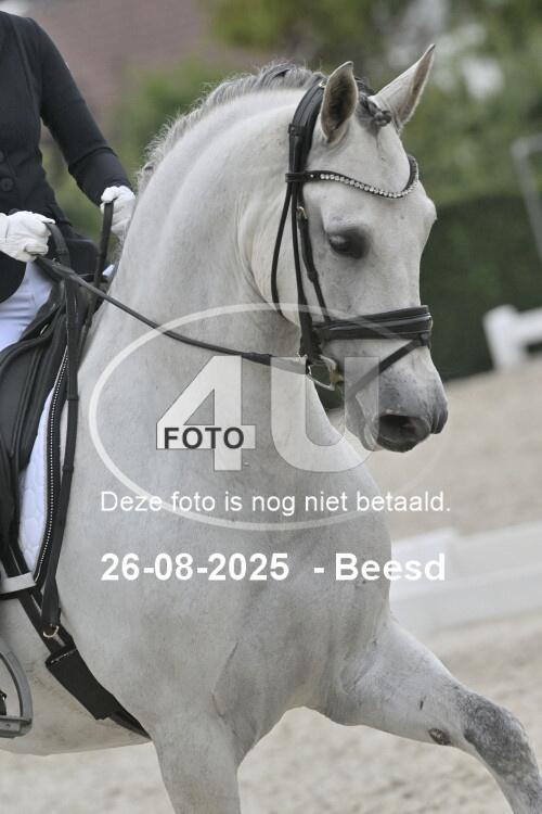 250826 2190