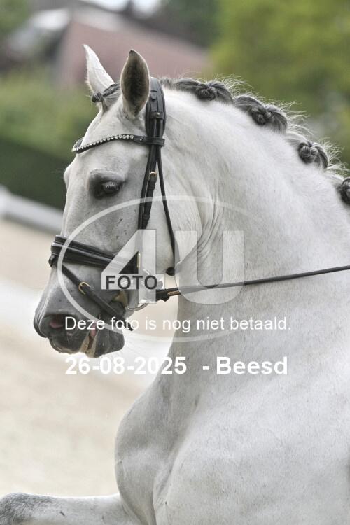 250826 2254