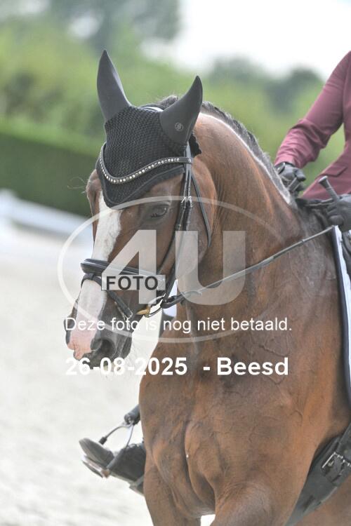 250826 2353