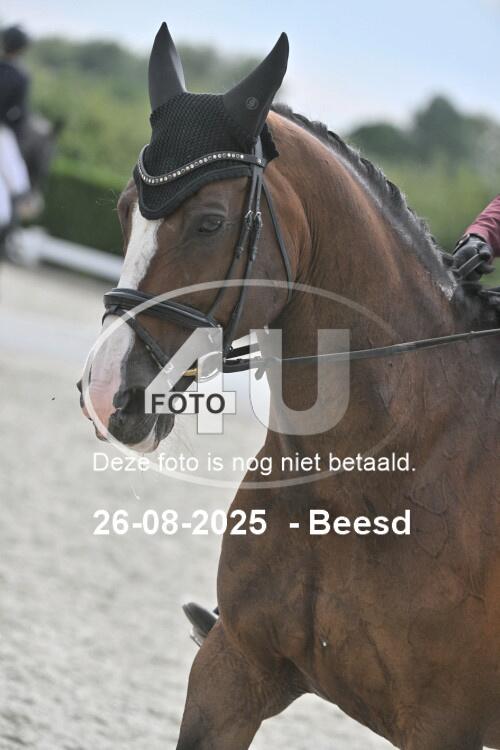 250826 2354