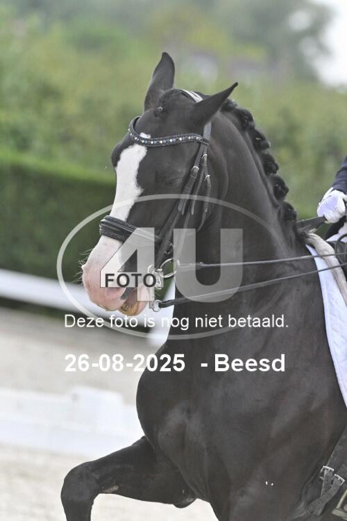 250826 2426