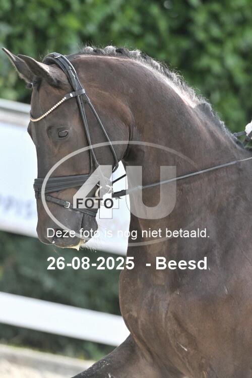 250826 2576