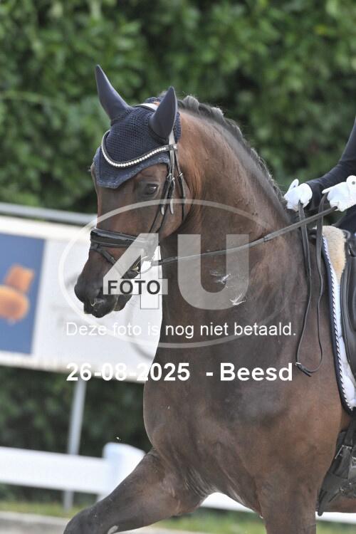 250826 2689