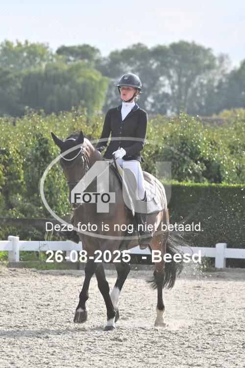 250826 2815