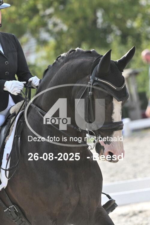 250826 2836