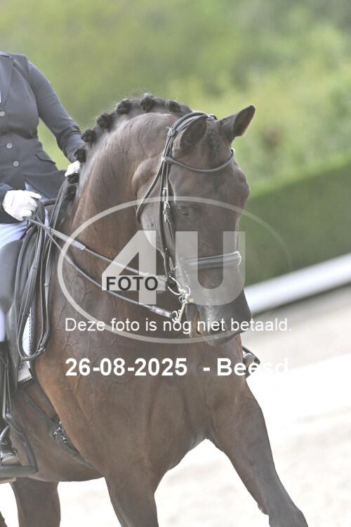 250826 2890
