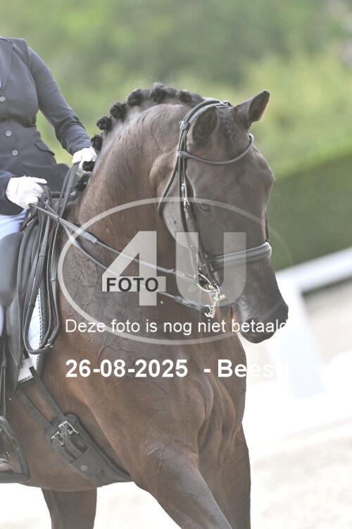250826 2891