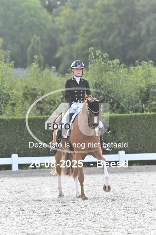 250826 2977