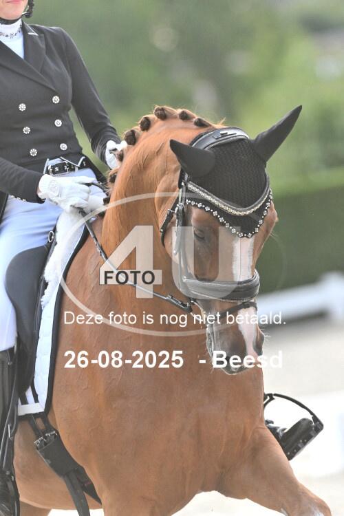 250826 2988