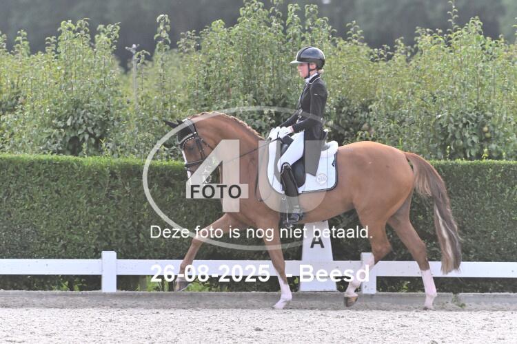 250826 2991