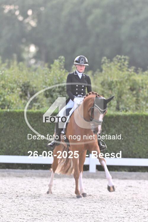 250826 3017