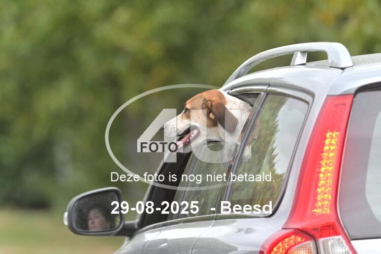 250829 0150