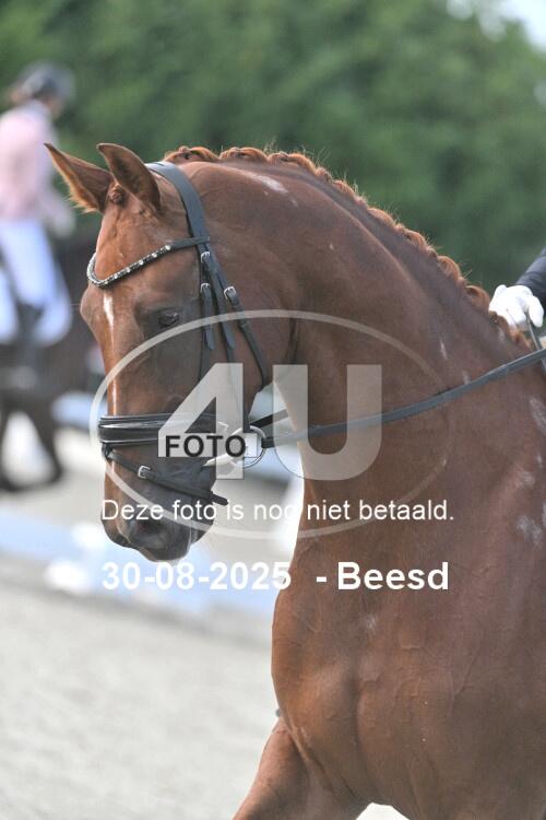 250830 0067