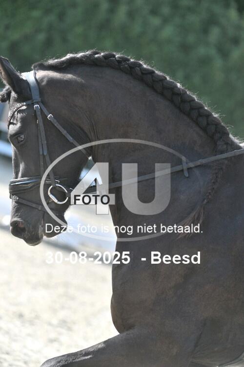 250830 0169