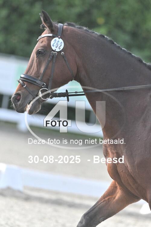 250830 0229