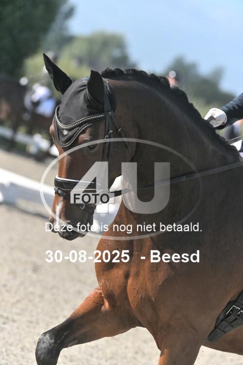 250830 0274