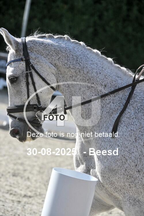 250830 0377