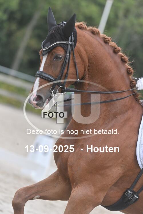 250913 0364