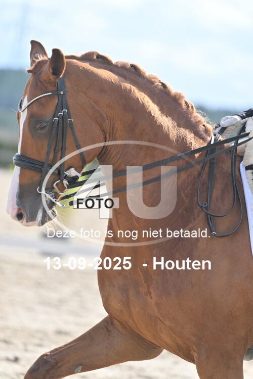 250913 0586